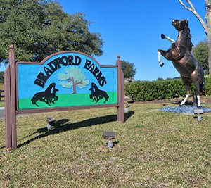 Sign and horse statue outside of the Bradford Farms community.